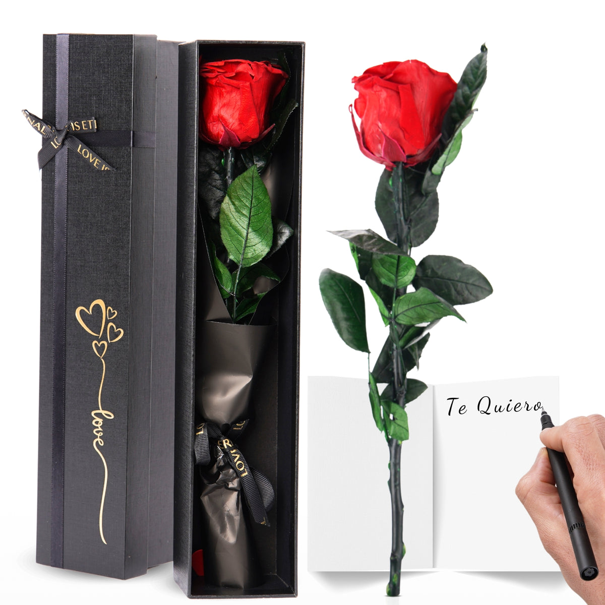Eternal Preserved Rose – A Gift That Never Fades