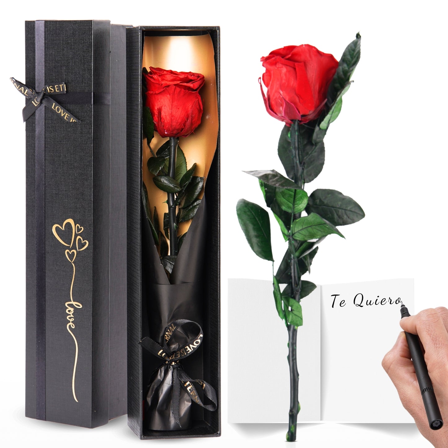 Eternal Preserved Rose – A Gift That Never Fades