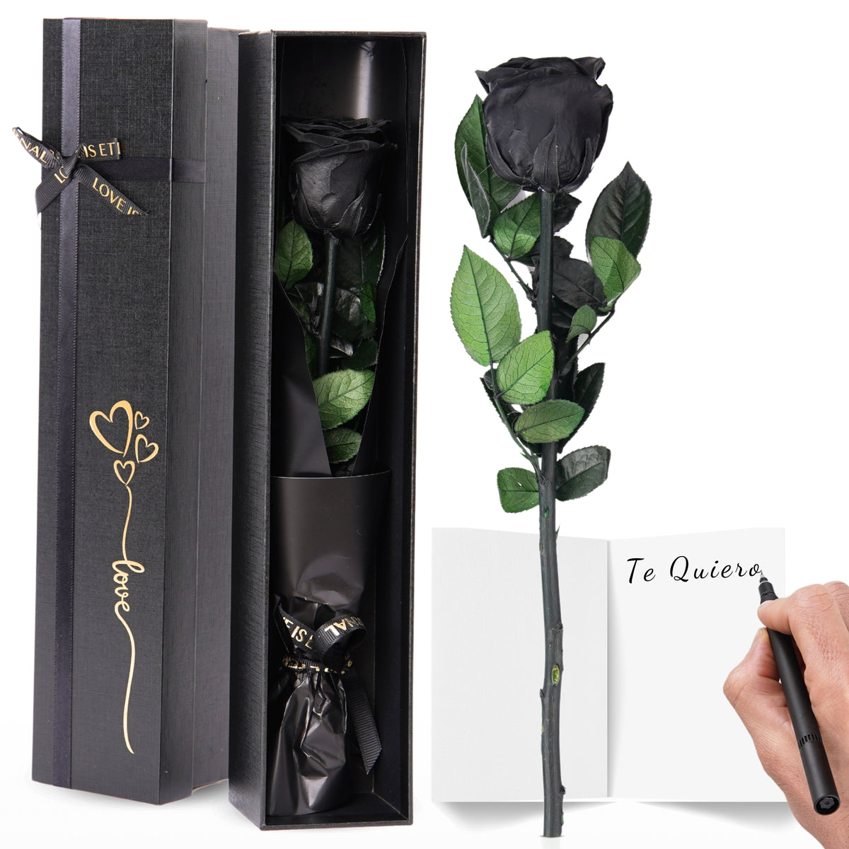 Eternal Preserved Rose – A Gift That Never Fades