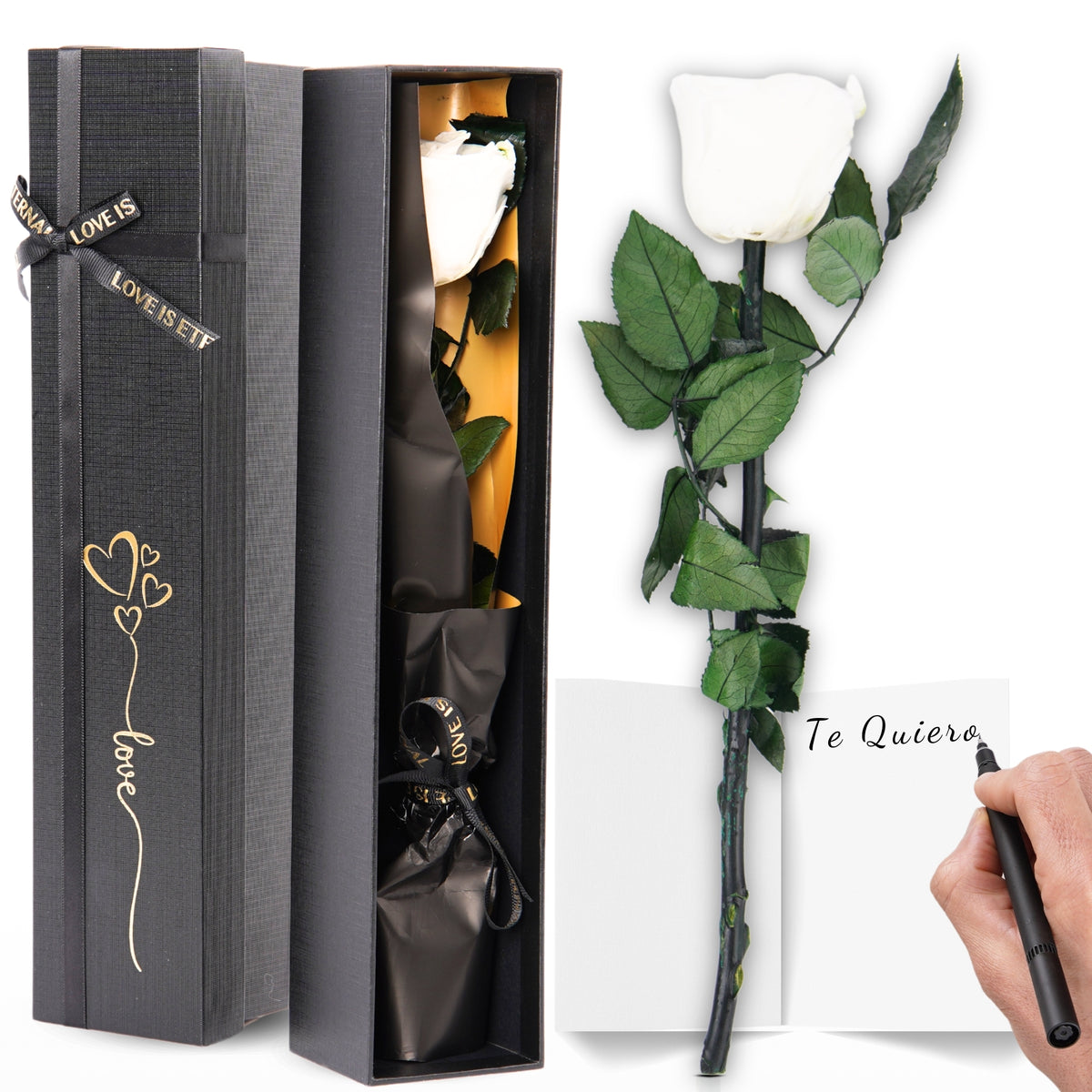 Eternal Preserved Rose – A Gift That Never Fades