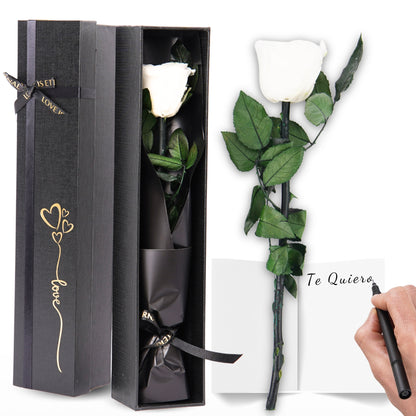 Eternal Preserved Rose – A Gift That Never Fades